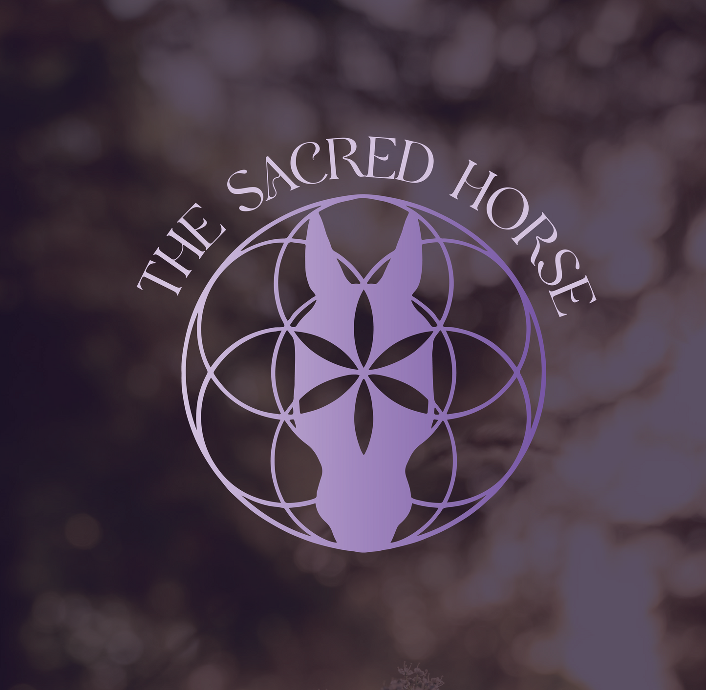 THE SACRED HORSE LOGO