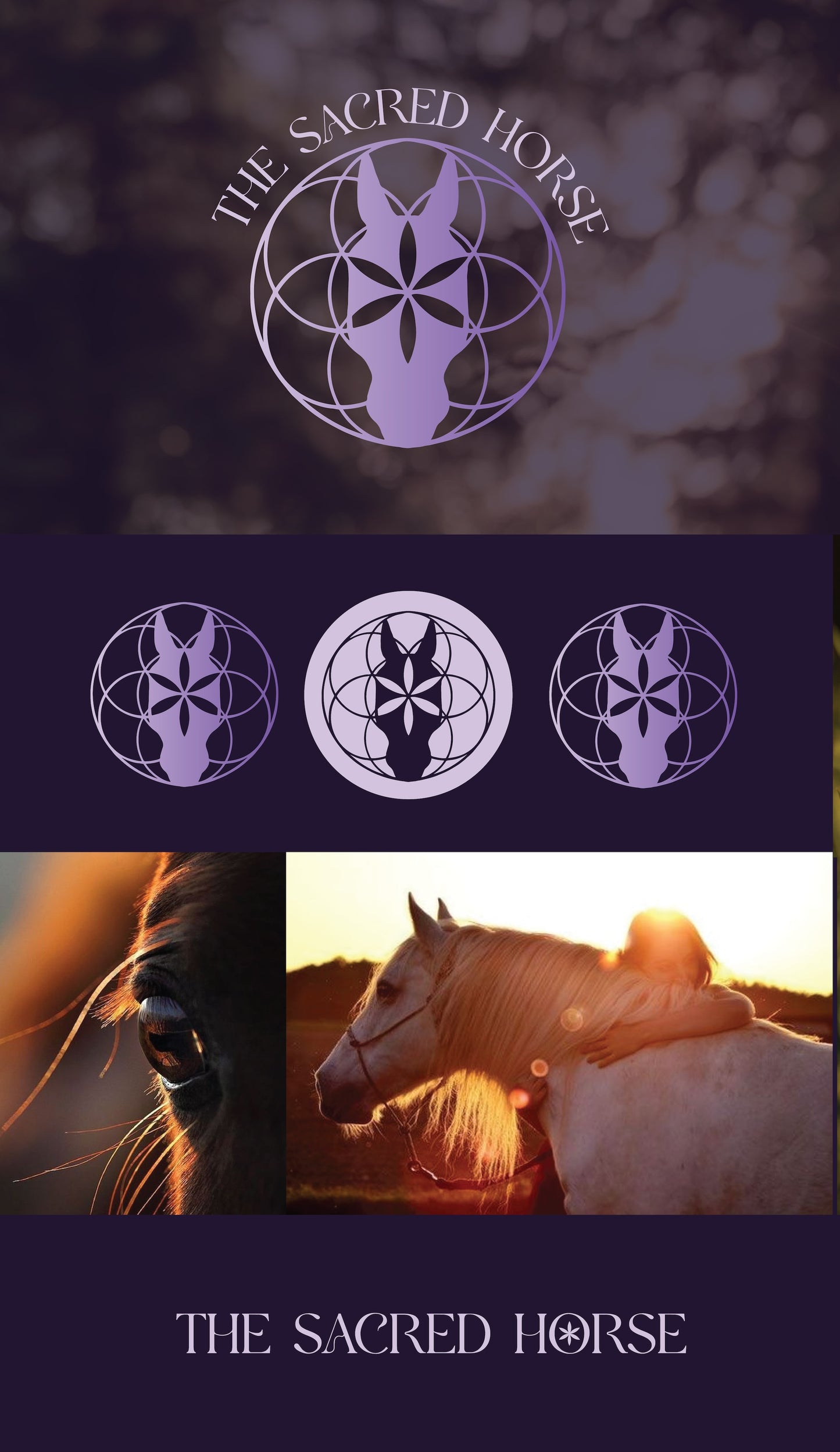 THE SACRED HORSE LOGO