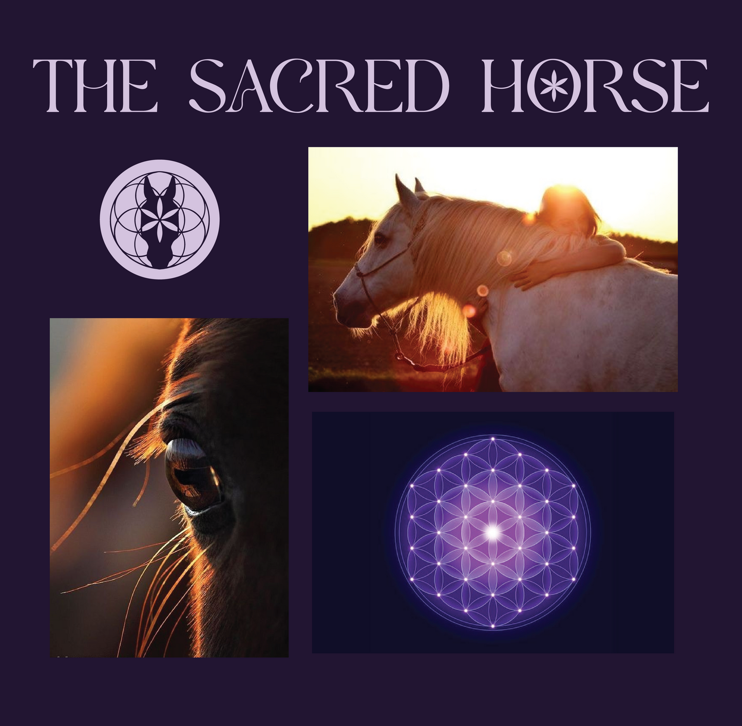THE SACRED HORSE LOGO