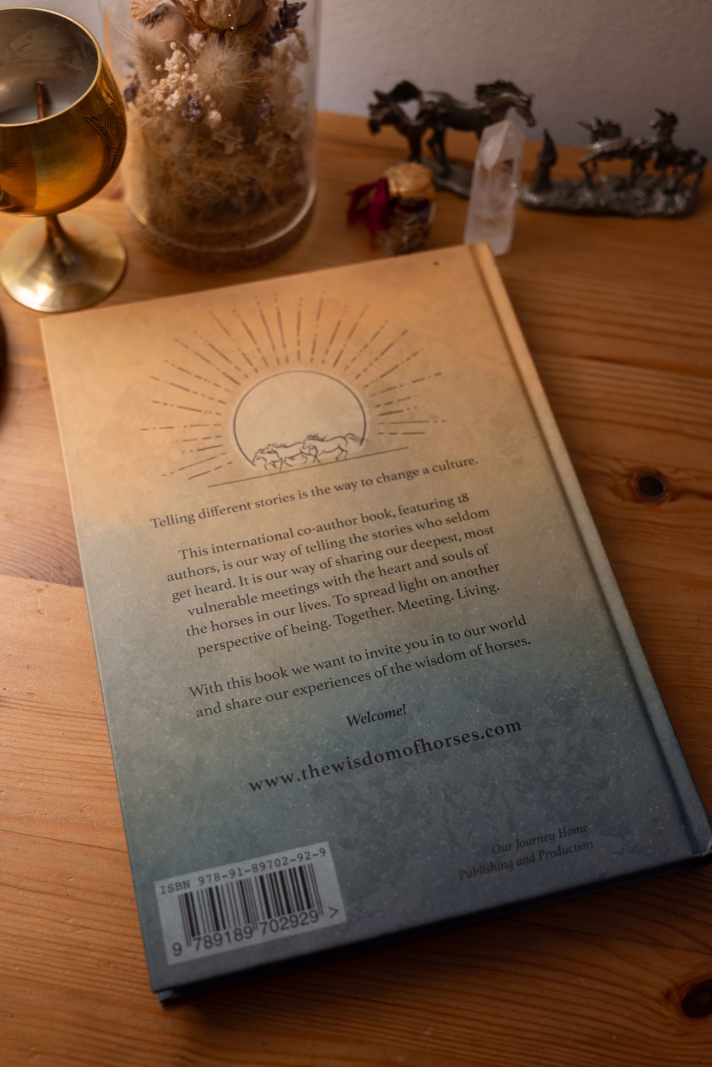 Unlocking the Wisdom of Horses With You Book