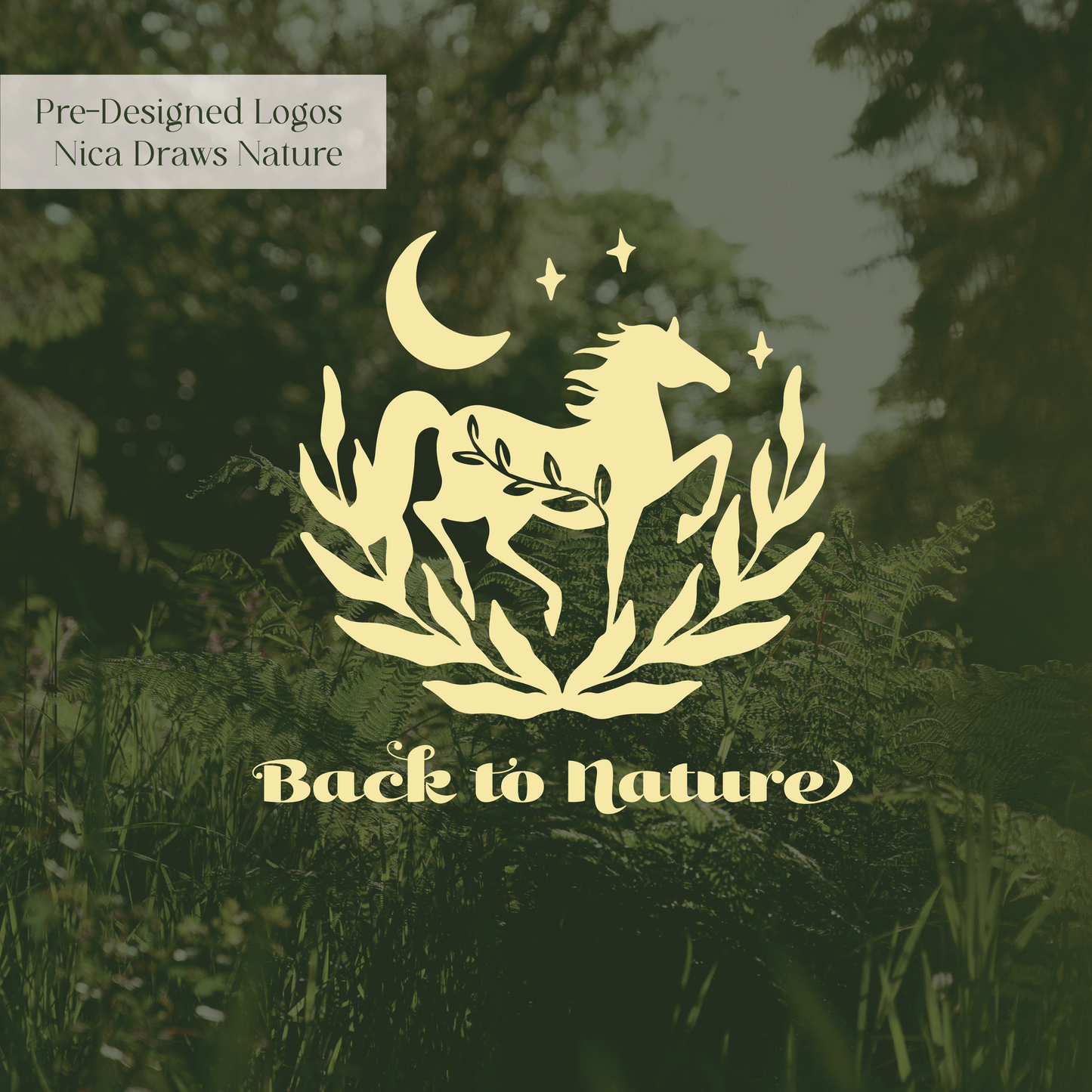 BACK TO NATURE LOGO