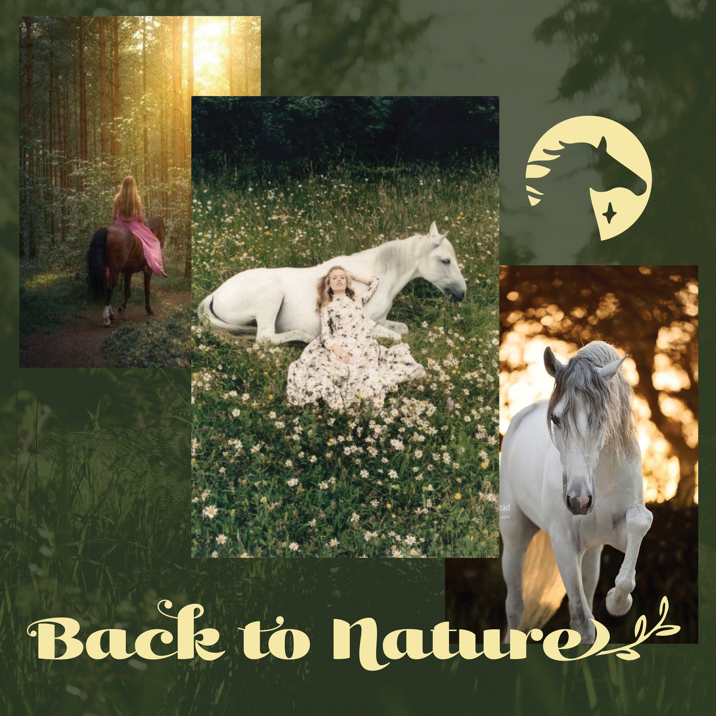 BACK TO NATURE LOGO