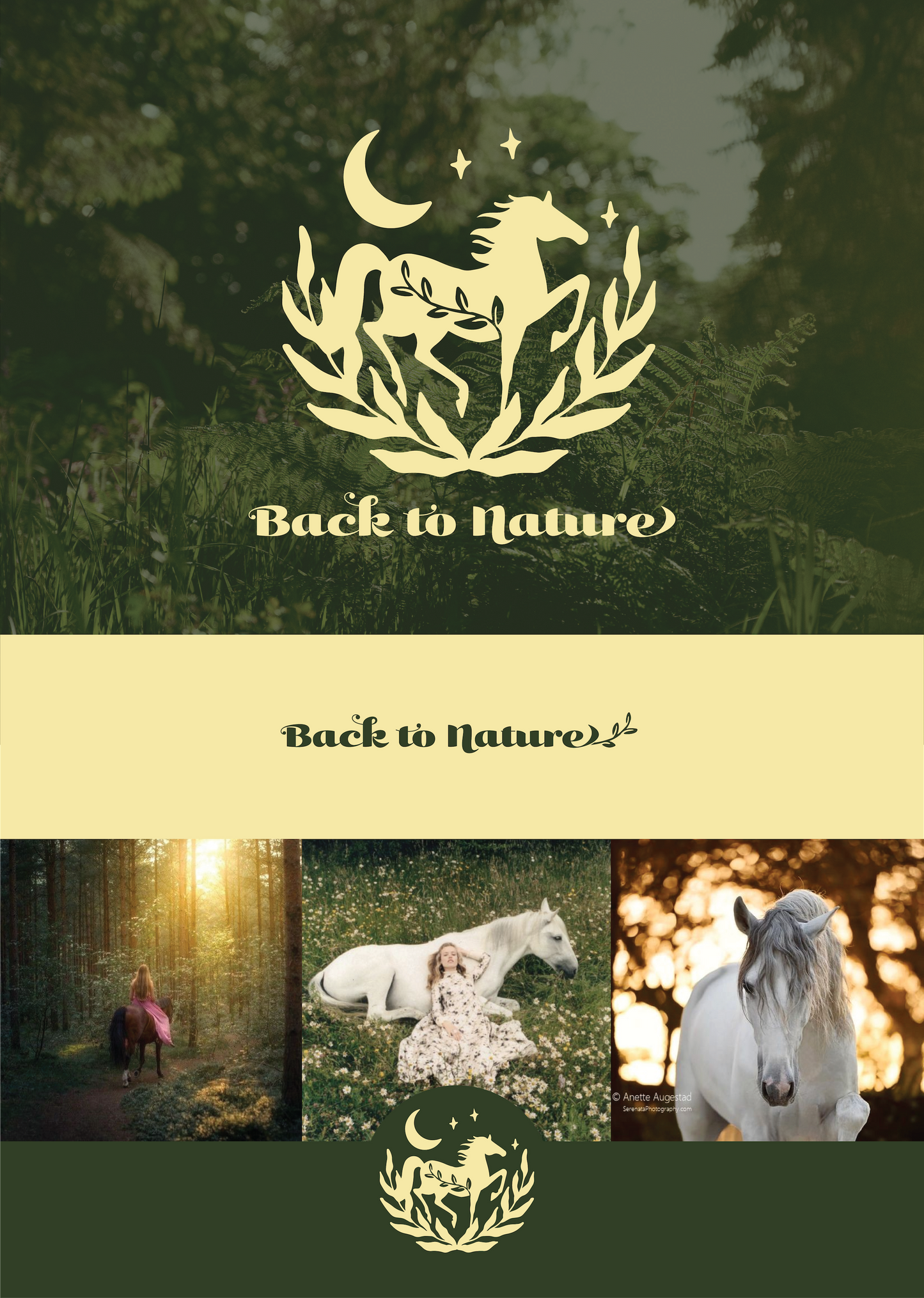 BACK TO NATURE LOGO