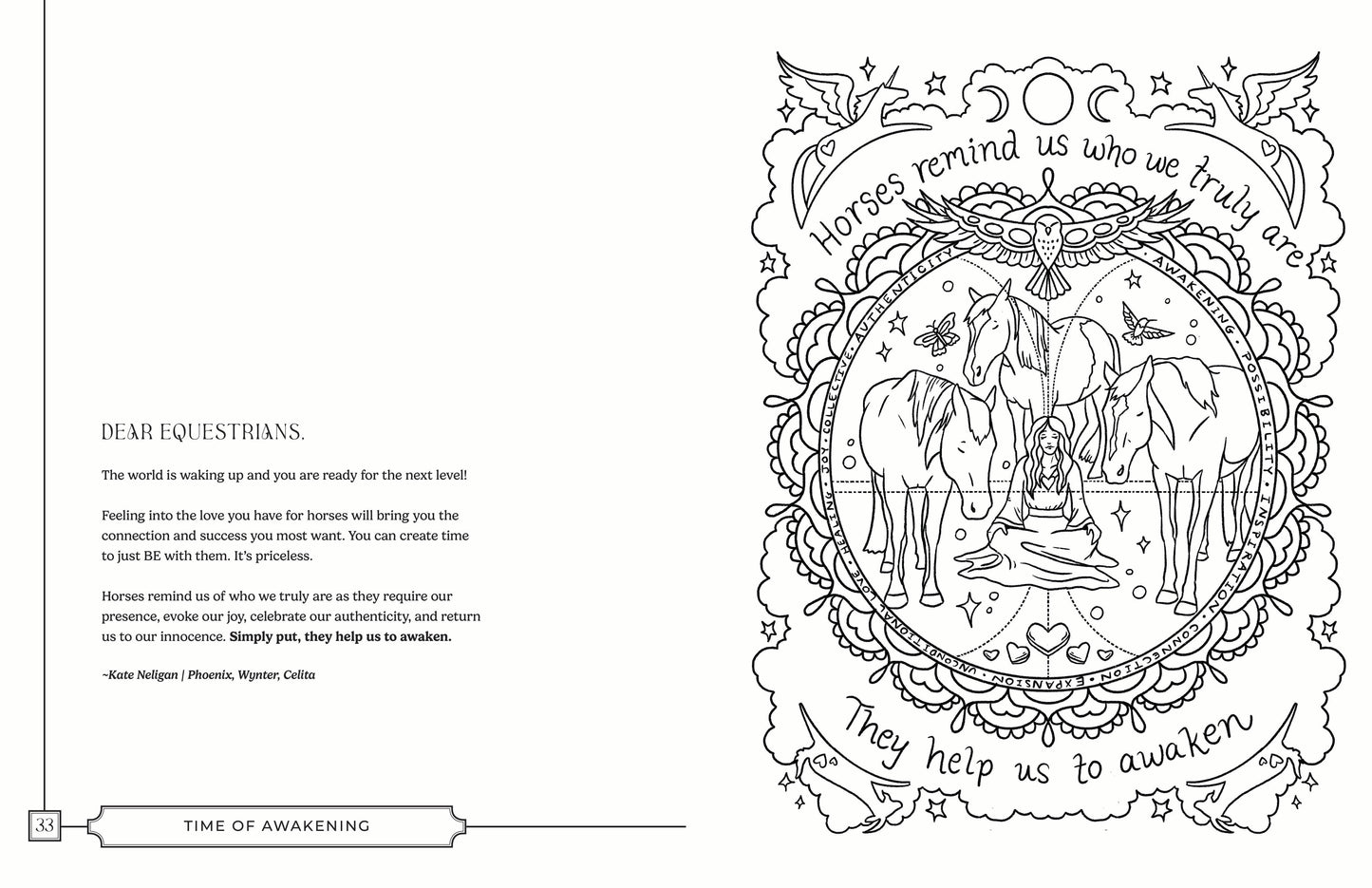 Dear Equestrians Collective Coloring Book [PRE-ORDER]