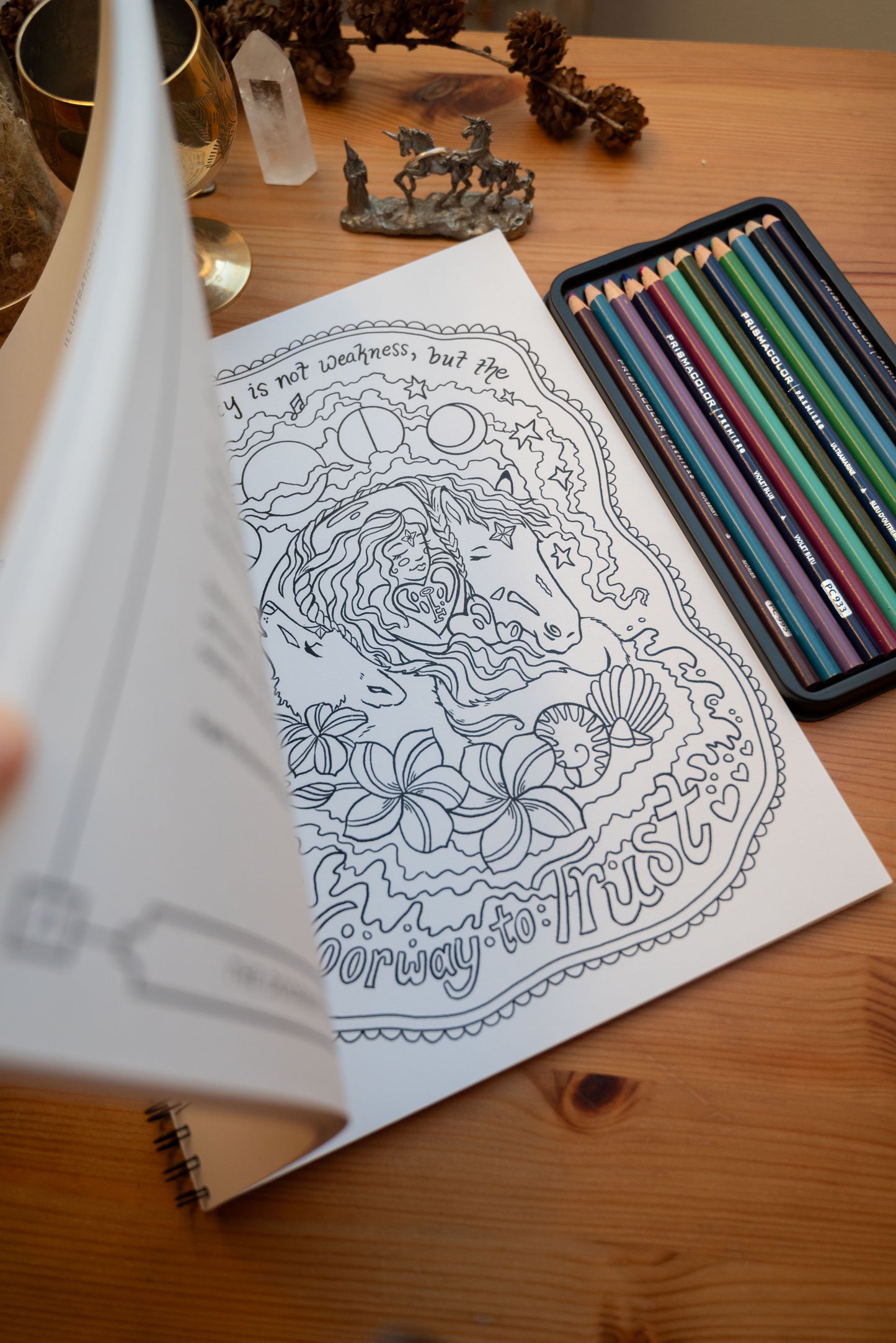 Collective Coloring Book: Dear Equestrians