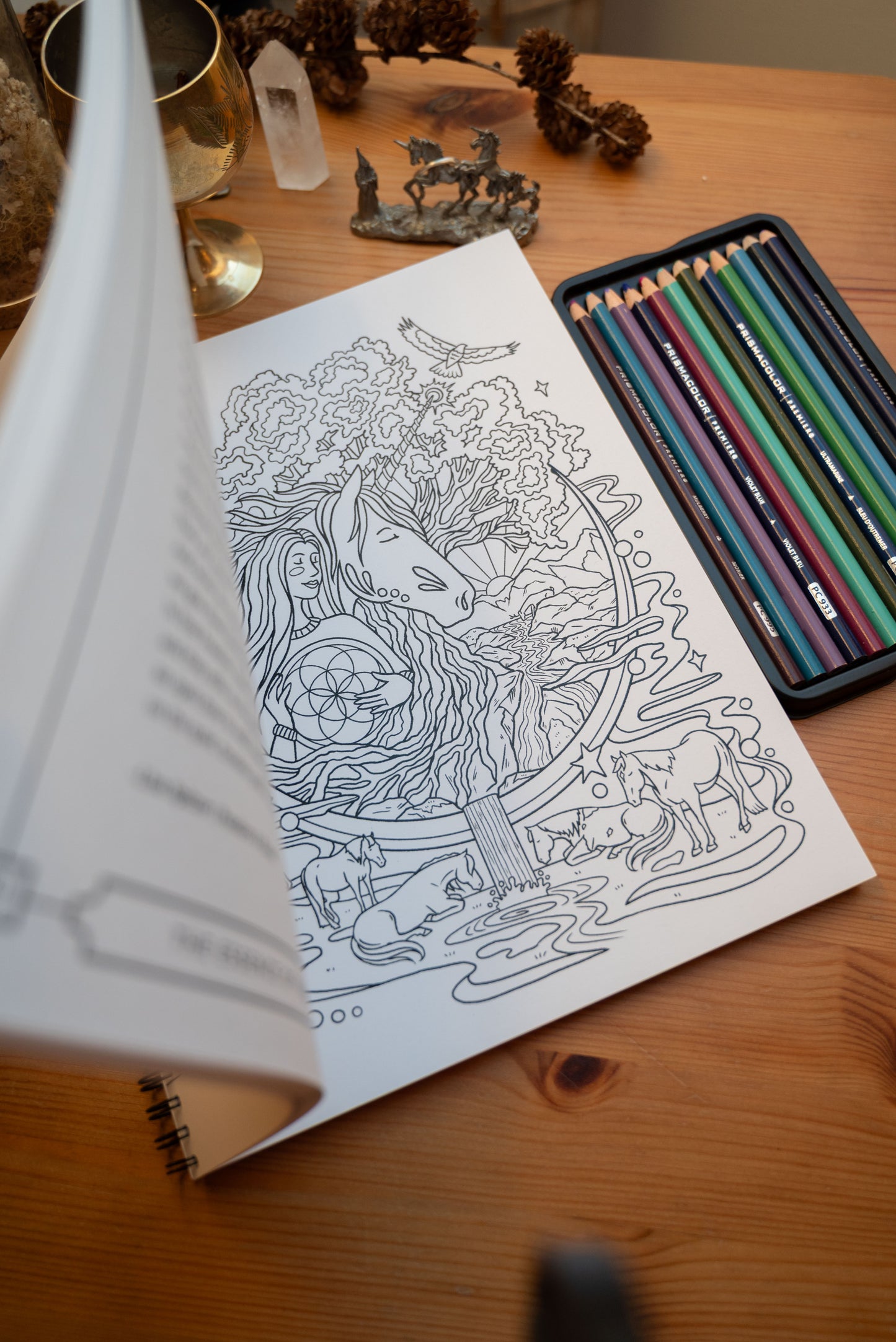 Collective Coloring Book: Dear Equestrians