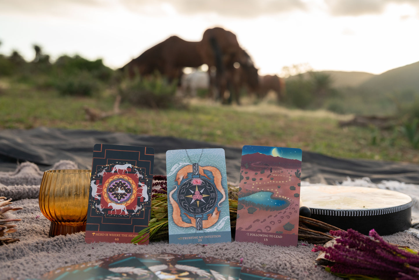 The Wise Horse Woman Oracle Deck