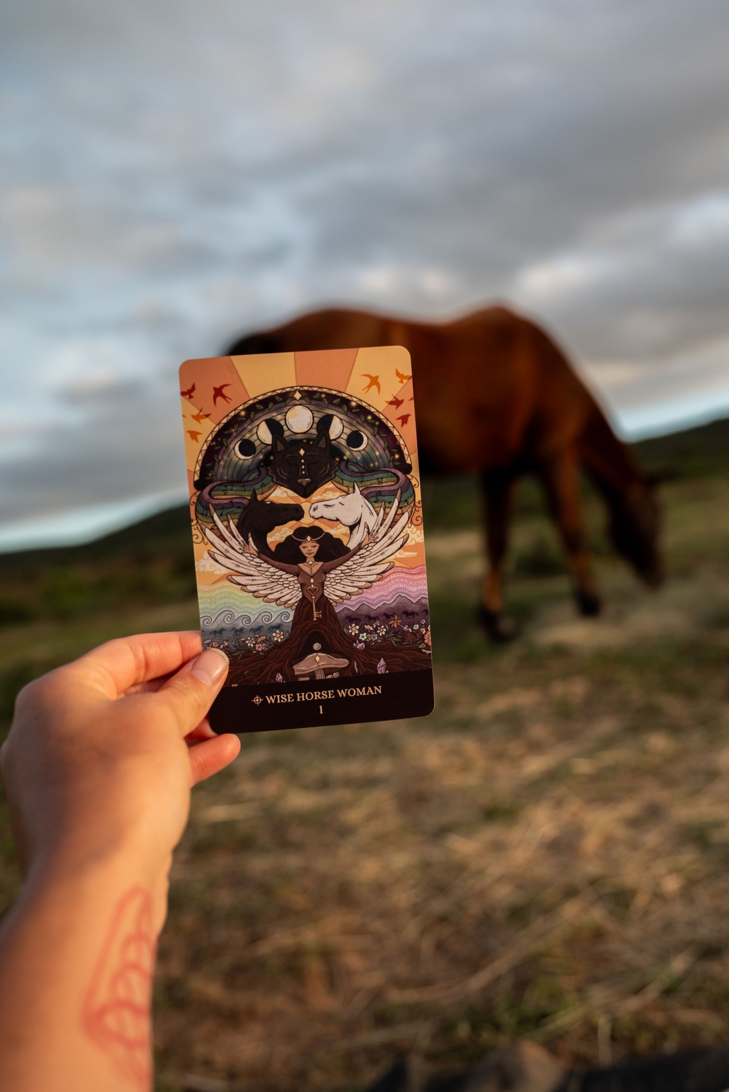 The Wise Horse Woman Oracle Deck