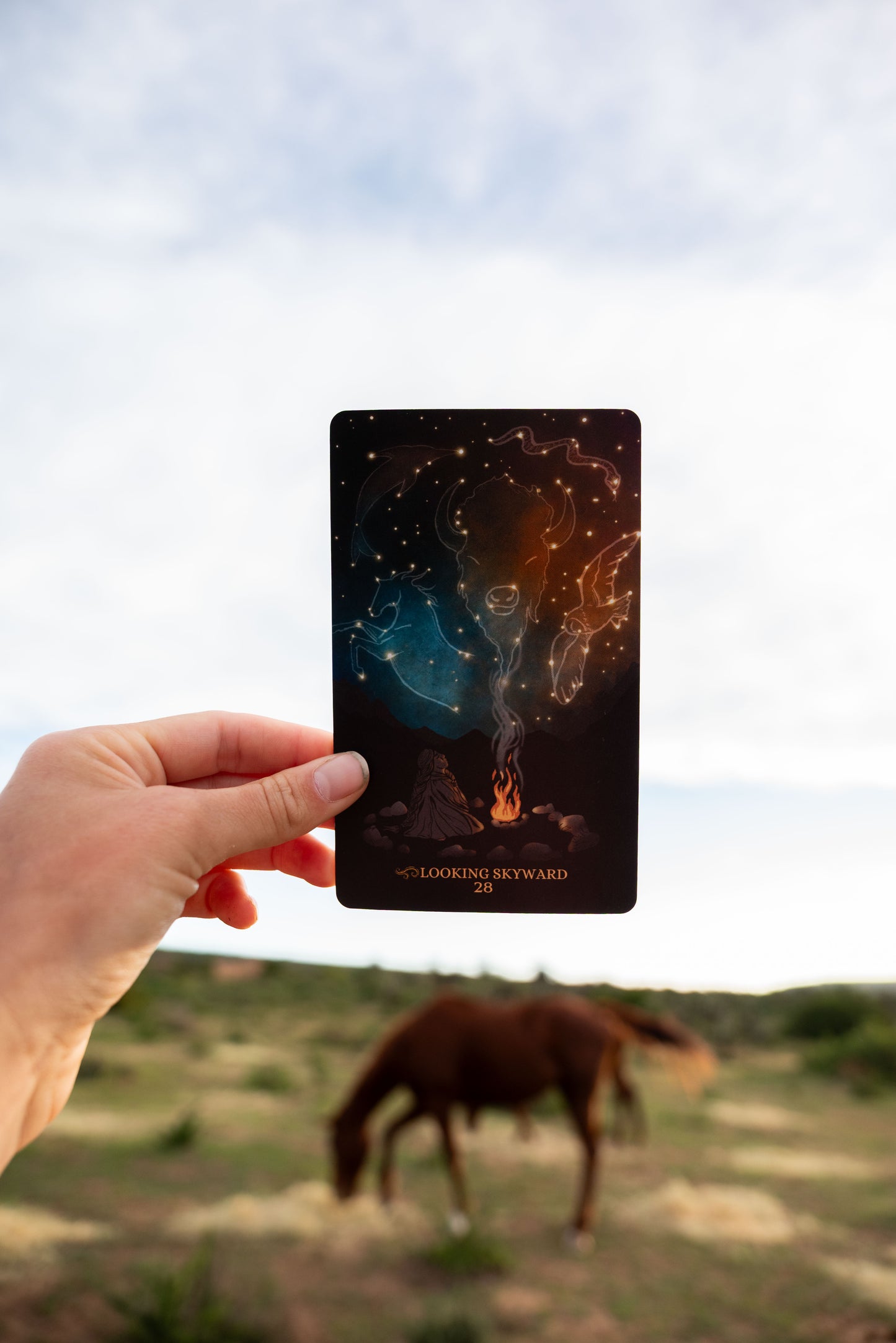 The Wise Horse Woman Oracle Deck