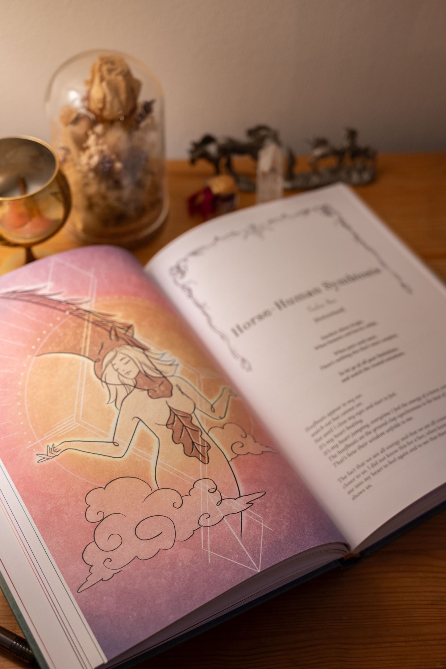 Unlocking the Wisdom of Horses With You Book