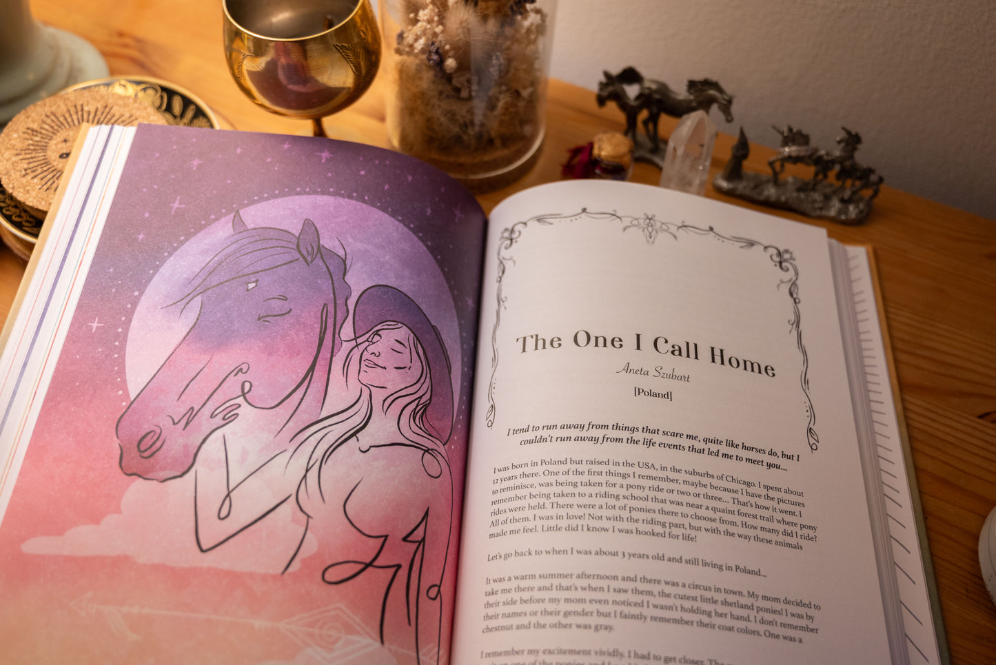 Unlocking the Wisdom of Horses With You Book