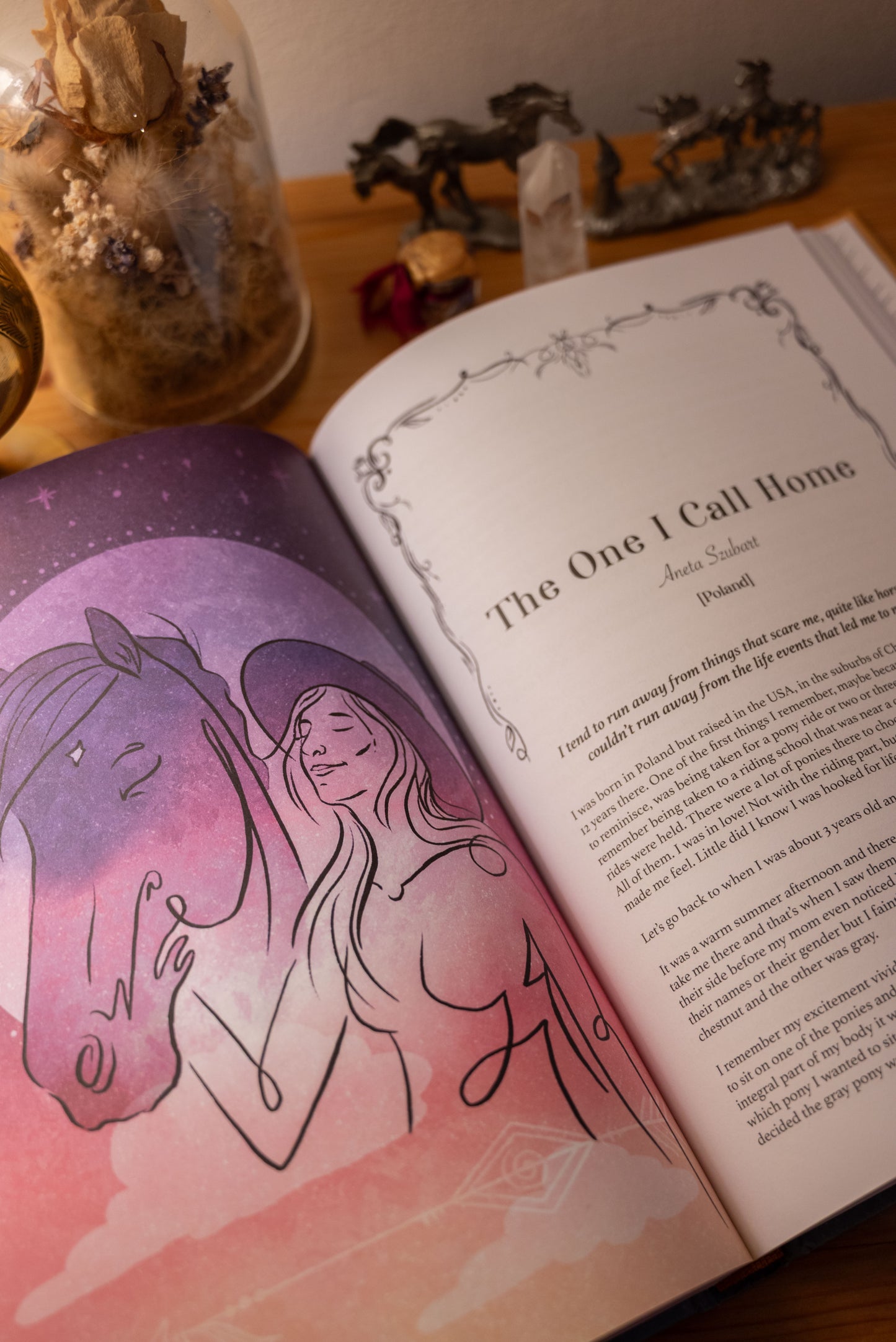 Unlocking the Wisdom of Horses With You Book